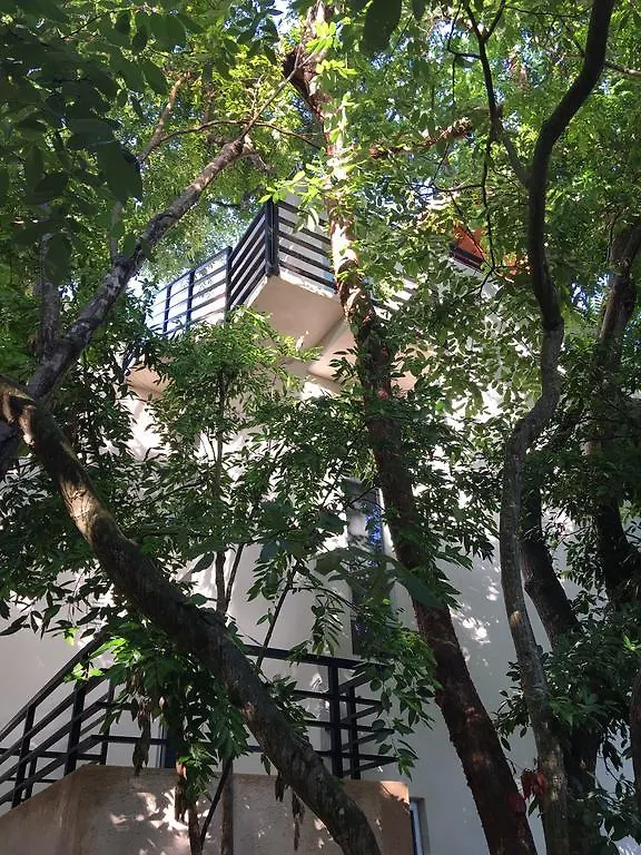 Arbolada Ξενοδοχείο Πλάγια Ντελ Κάρμεν Μεξικό